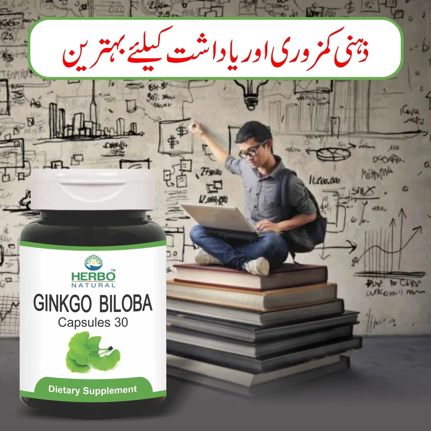 Ginkgo Biloba Capsules (Pack of 2) Herbo Natural