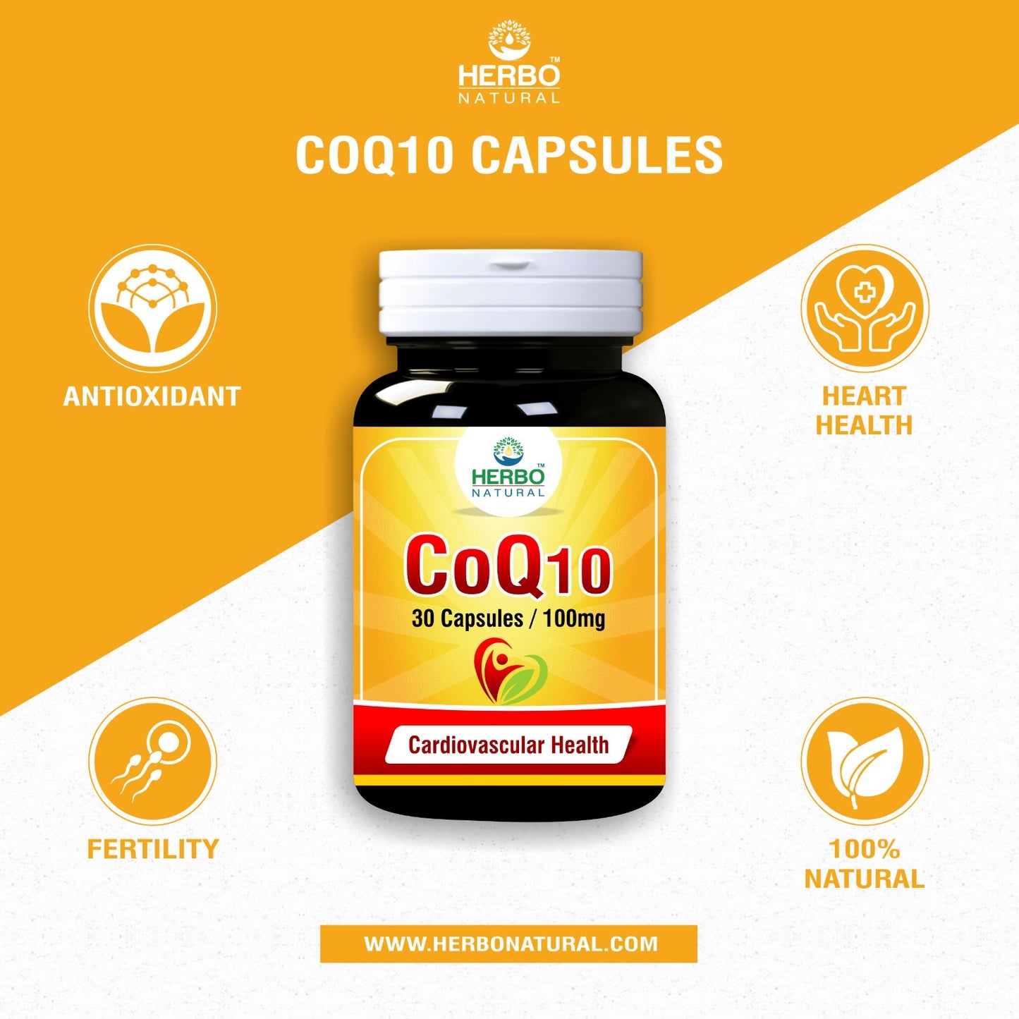 CoQ 10 - 100 mg Capsules Benefits