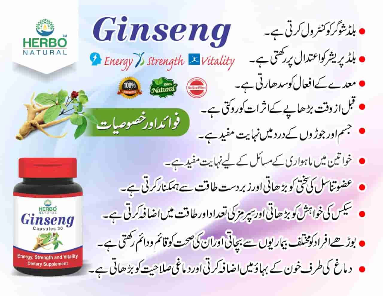 Ginseng Capsules (Pack of 2) Herbo Natural