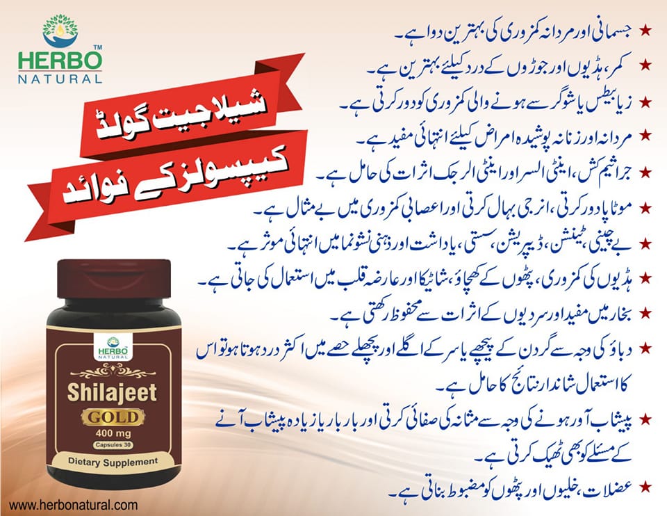 Shilajit Gold Capsules (Pack of 2) Herbo Natural