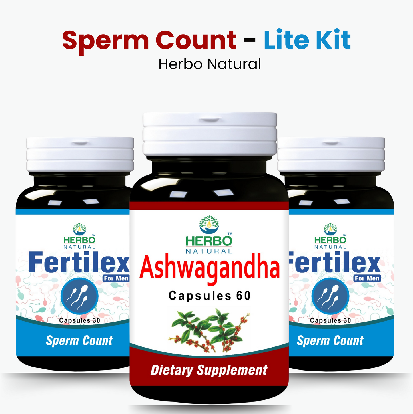 Sperm_Count_-_Lite_Kit