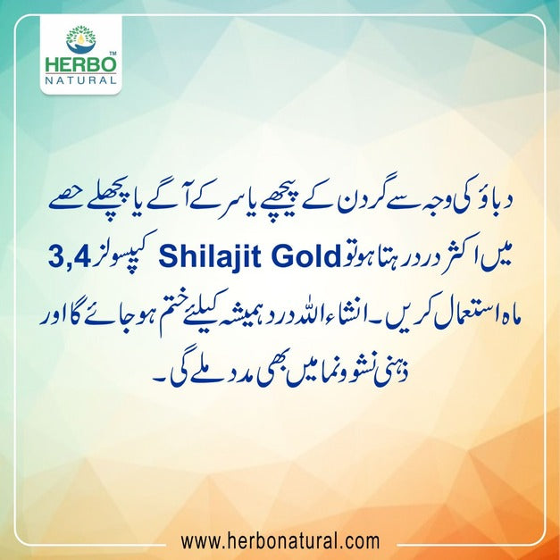 Shilajit Gold Capsules (Pack of 2) Herbo Natural