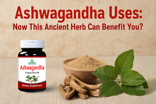 Top 5 Ashwagandha Uses in Pakistan: Benefits for Stress, Energy & More