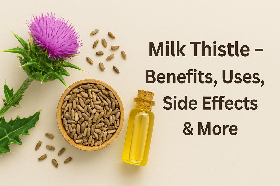 Vitex Agnus-Castus: Benefits, Uses, Side Effects