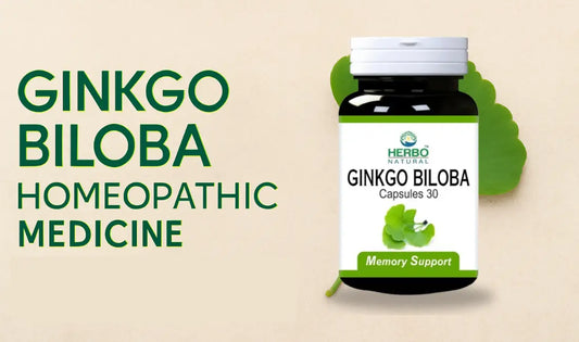 Ginkgo Biloba Homeopathic Medicine Benefits, Uses and Complete Guide