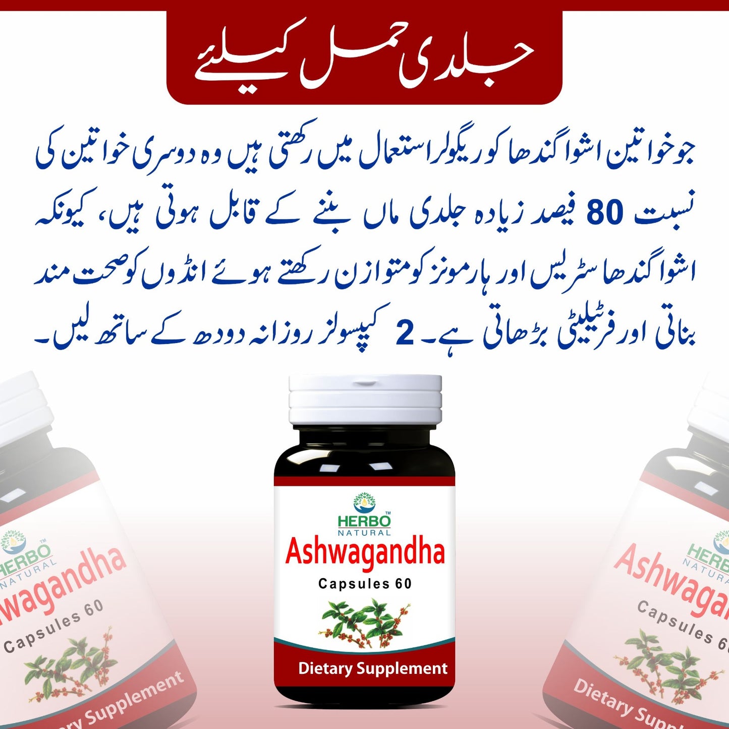 Ashwagandha Capsules