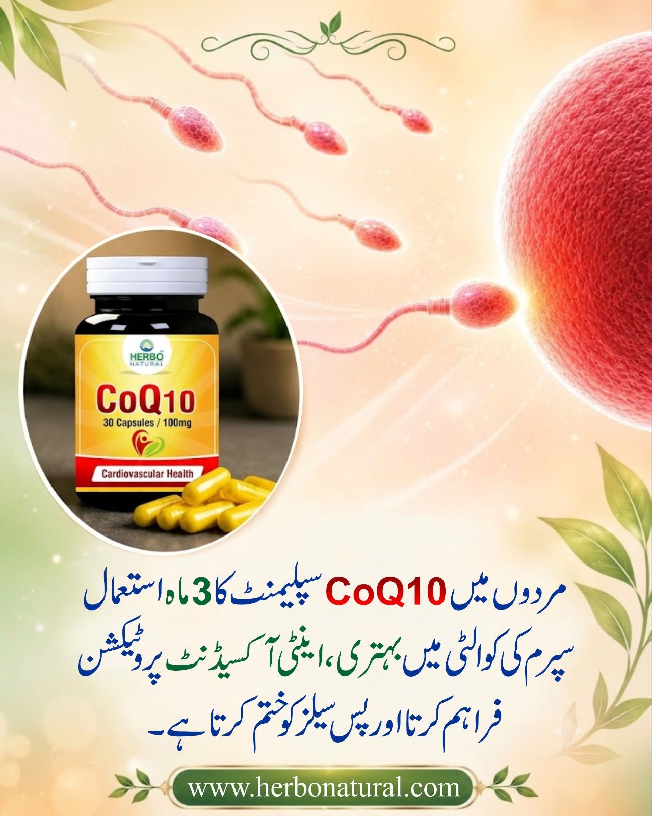 CoQ 10 - 100 mg Capsules