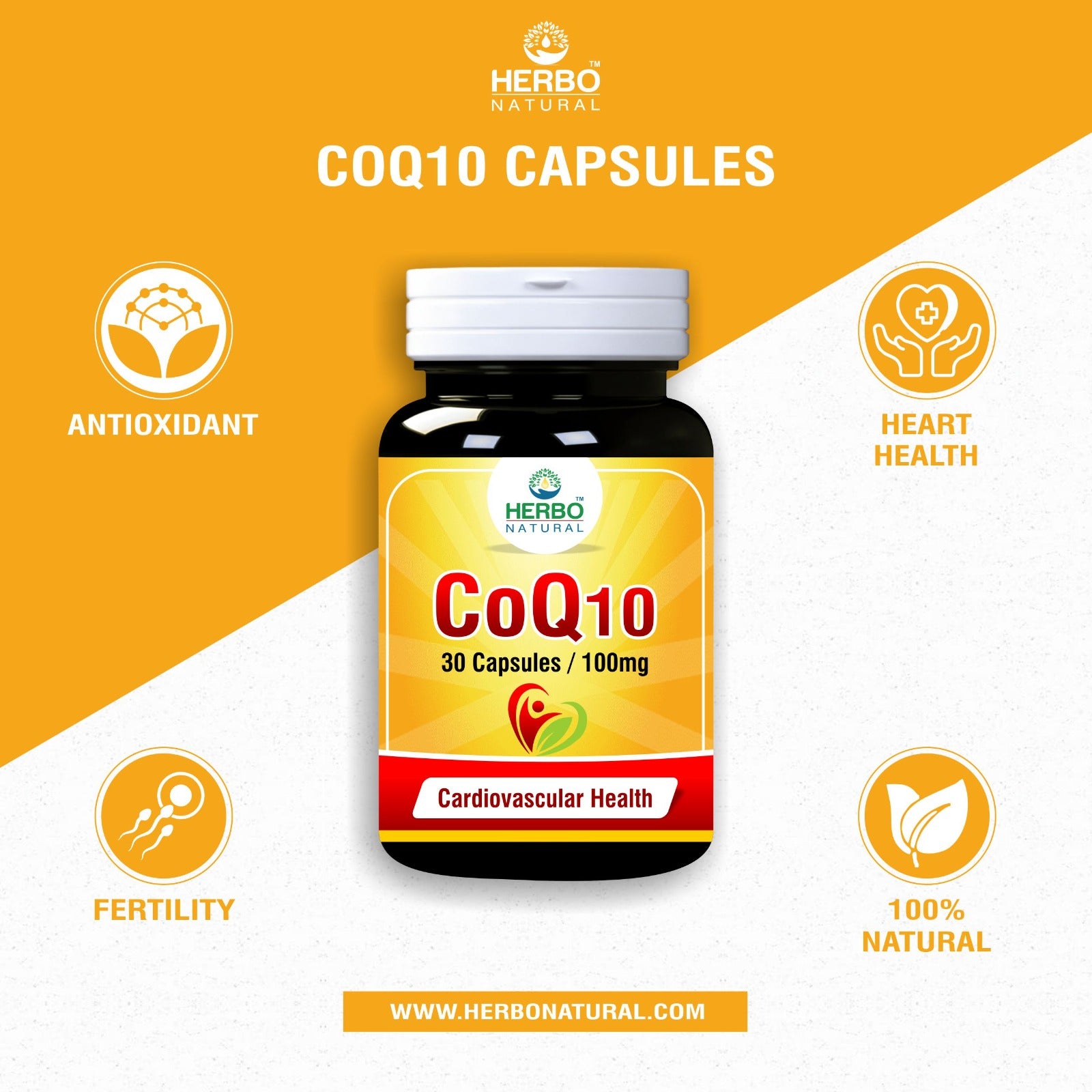 CoQ 10 - 100 mg Capsules Benefits