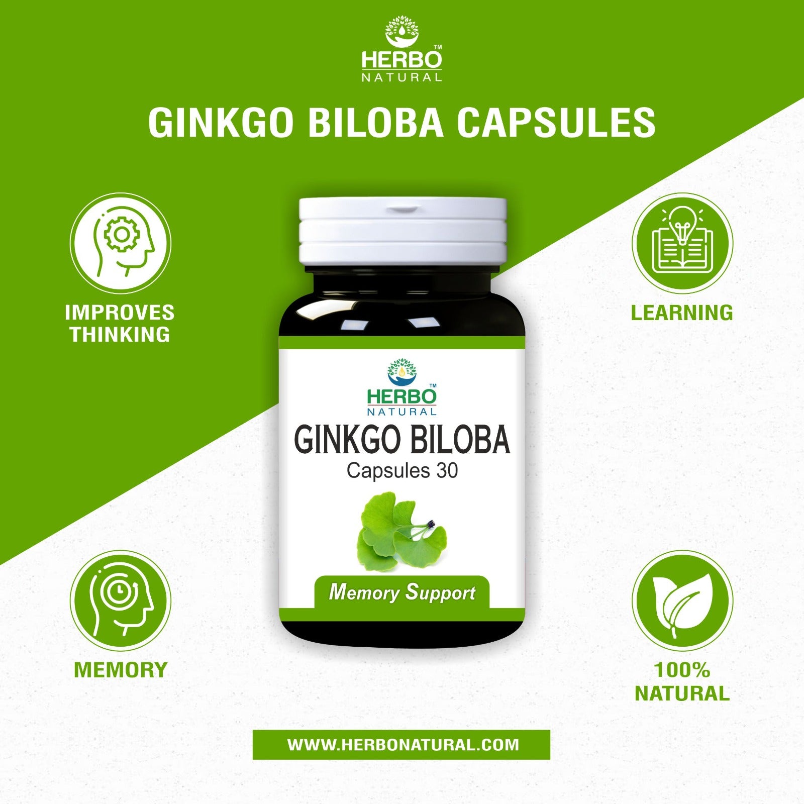 Ginkgo Biloba Capsules Benefits