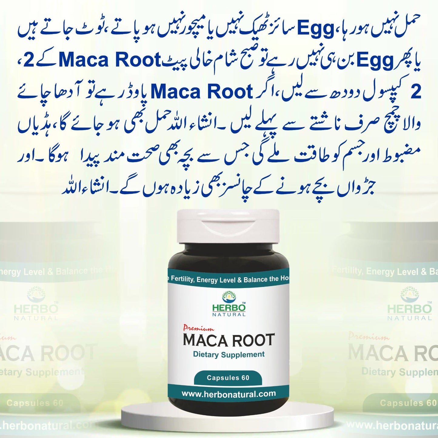 Maca Root Capsules Herbo Natural