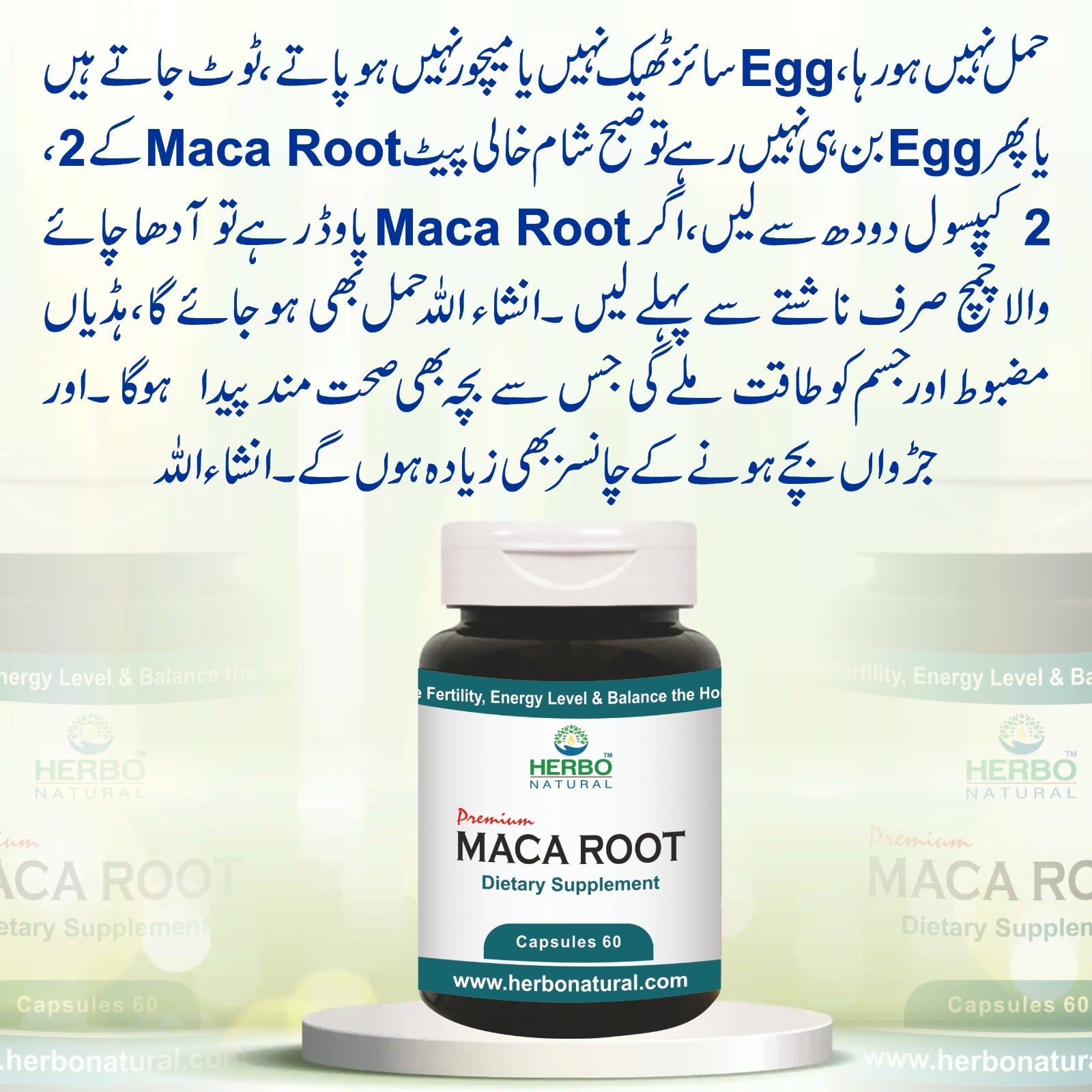 Maca Root Capsules Herbo Natural