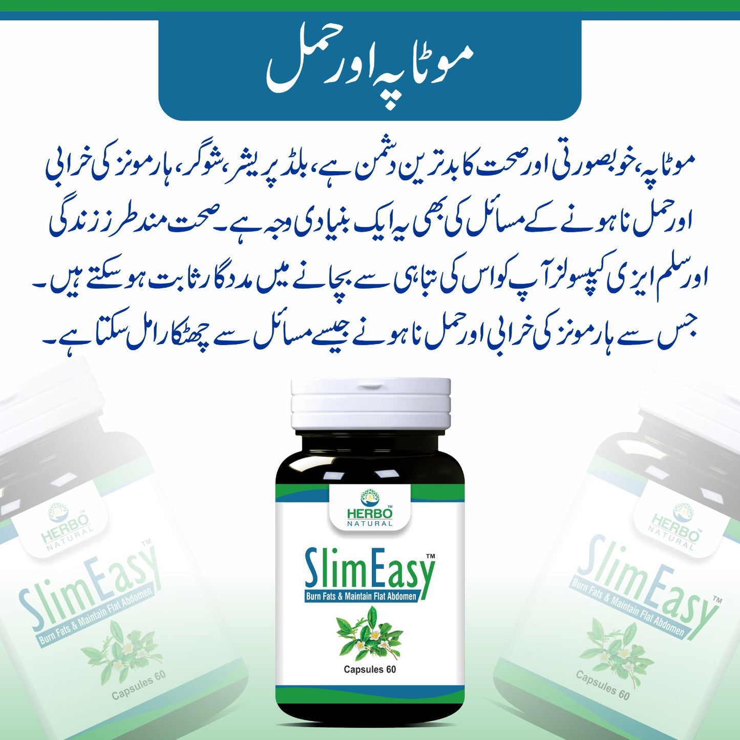 SlimEasy Weight Loss Capsules (Pack of 2)