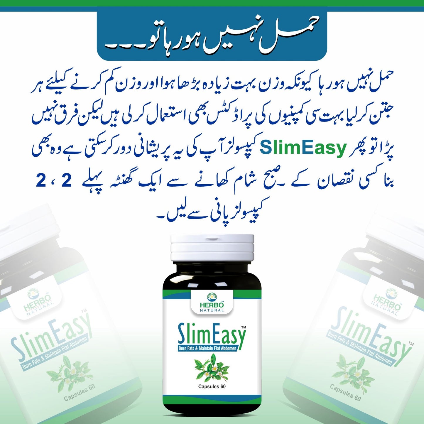 SlimEasy Weight Loss Capsules (Pack of 2)