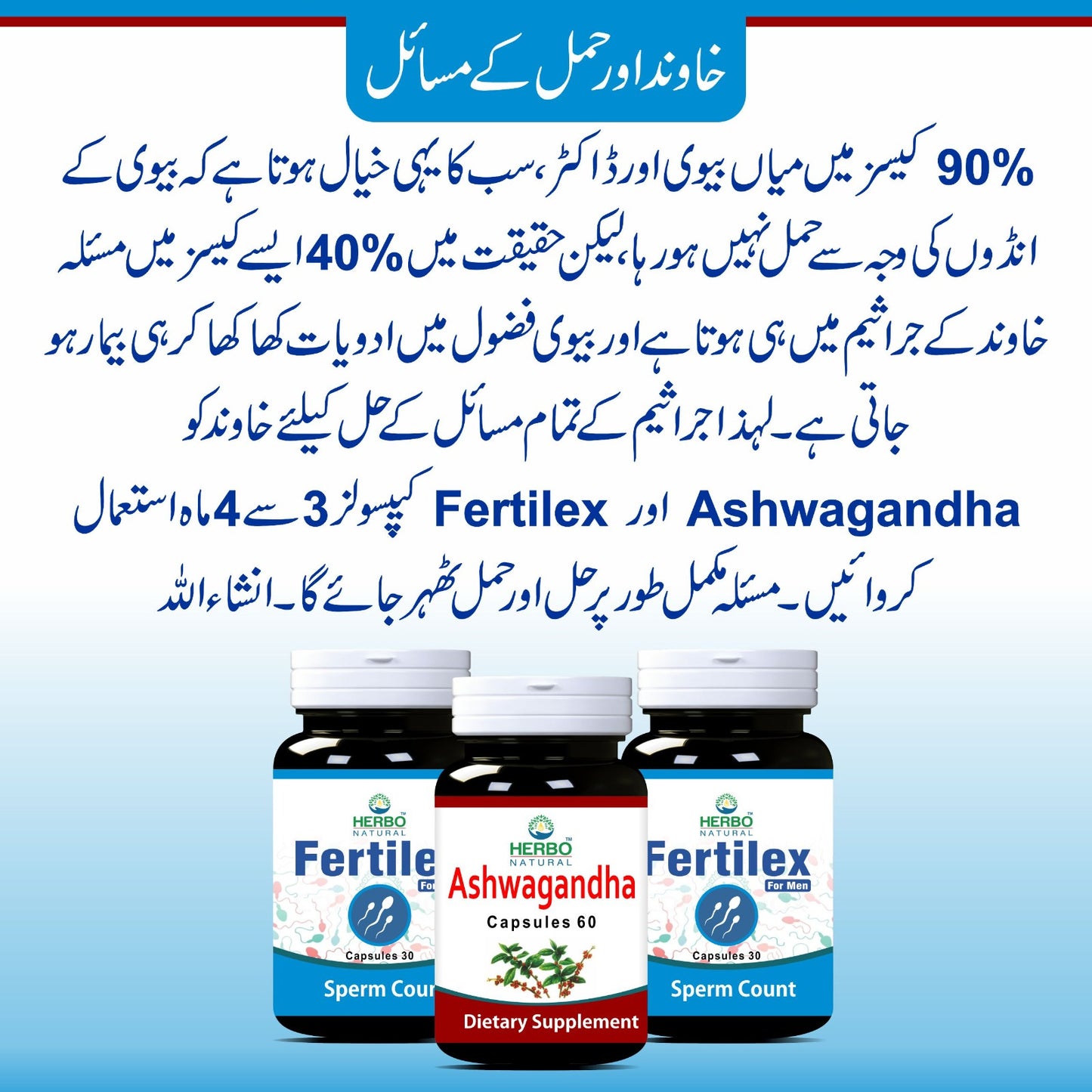 Sperm Count - Lite Kit