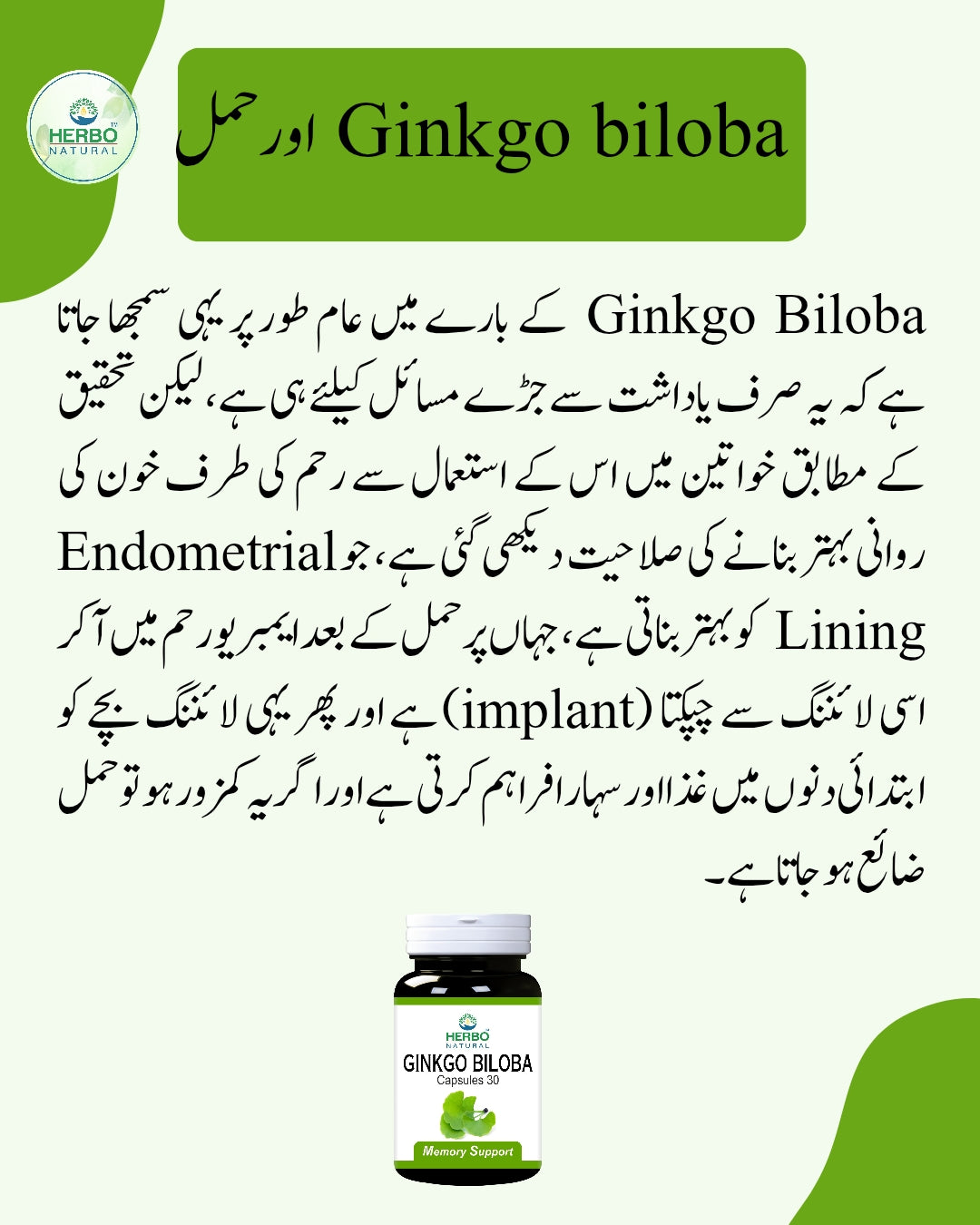 Ginkgo Biloba Capsules