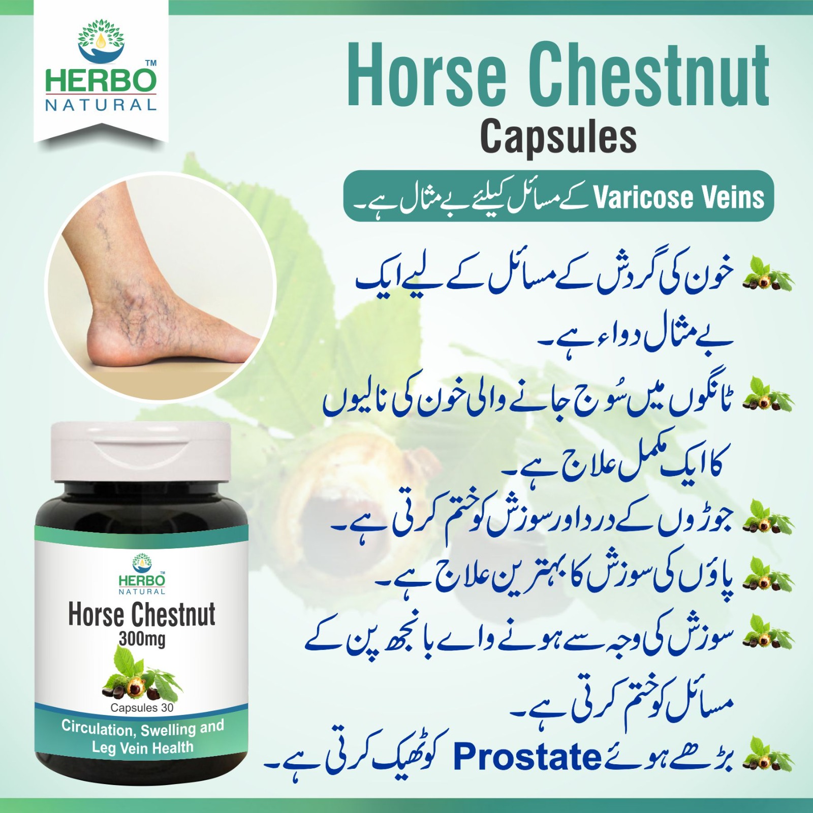 Horse chestnut capsules